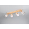 Illuminazione Trio Leuchten Shanti Faretto da soffitto Grigio, 4-Luci