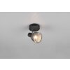 Illuminazione Trio Leuchten Tarifa Faretto da soffitto Nero, 1-Luce