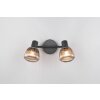 Illuminazione Trio Leuchten Tarifa Faretto da soffitto Nero, 2-Luci