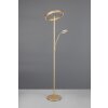 Illuminazione Trio Leuchten Willis Lampada da terra LED Oro, 2-Luci