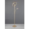 Illuminazione Trio Leuchten Willis Lampada da terra LED Oro, 2-Luci