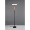 Illuminazione Trio Leuchten Celeste Lampada da terra LED Marrone, 1-Luce