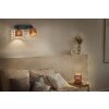 Illuminazione Ledvance DECOR Applique e plafoniera Marrone, 2-Luci