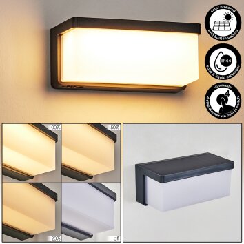 Rifbjerg Lampada da parete per esterno, Applique, Faretto da parete LED Nero, 1-Luce