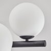 Gastor Plafoniera, Lampada a sfera Bianco, 8-Luci