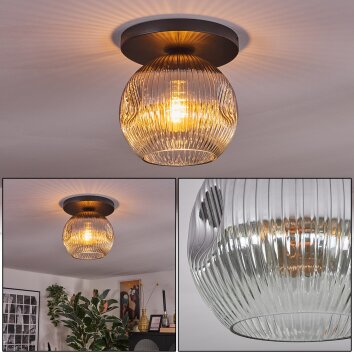 Ripoll Plafoniera, Lampada a sfera Grigio fumo, 1-Luce Ripoll Plafoniera, Lampada a sfera Grigio fumo, 1-Luce