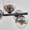 Gastor Lampadario a sospensione, Lampada a sfera, Lampada a sospensione Chiaro, Grigio fumo, 8-Luci
