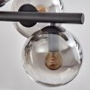 Gastor Lampadario a sospensione, Lampada a sfera, Lampada a sospensione Chiaro, Grigio fumo, 8-Luci