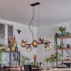 Gastor Lampadario a sospensione, Lampada a sfera, Lampada a sospensione Chiaro, Grigio fumo, 8-Luci