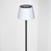 Longchamps Lampada da terra LED Nero, 1-Luce