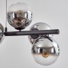 Koyoto Lampadario a sospensione, Lampada a sfera, Lampada a sospensione Cromo, Chiaro, Grigio fumo, 8-Luci