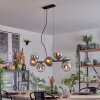 Koyoto Lampadario a sospensione, Lampada a sfera, Lampada a sospensione Cromo, Chiaro, Grigio fumo, 8-Luci