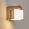 Swanek Lampada da parete per esterno, Applique LED Ruggine, 1-Luce