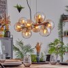 Koyoto Lampadario a sospensione, Lampada a sfera, Lampada a sospensione Ambrato, Chiaro, 8-Luci