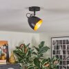 Bjedstrup Plafoniera, Faretto da soffitto, Faretto da parete Nero, 1-Luce