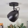 Bjedstrup Plafoniera, Faretto da soffitto, Faretto da parete Nero, 1-Luce