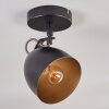 Bjedstrup Plafoniera, Faretto da soffitto, Faretto da parete Nero, 1-Luce