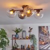 Gastor Plafoniera, Lampada a sfera Ambrato, Chiaro, Grigio fumo, 4-Luci