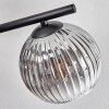 Gastor Plafoniera, Lampada a sfera Chiaro, Grigio fumo, 5-Luci