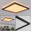 Xarel Plafoniera, Panel LED Nero, 1-Luce