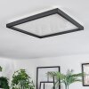 Xarel Plafoniera, Panel LED Nero, 1-Luce