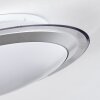 Calen Plafoniera, Faretto da soffitto LED Bianco, 1-Luce