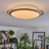 Calen Plafoniera, Faretto da soffitto LED Bianco, 1-Luce