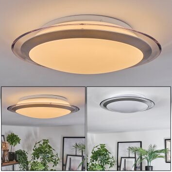 Calen Plafoniera, Faretto da soffitto LED Bianco, 1-Luce