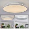 Norea Plafoniera, Faretto da soffitto LED Bianco, 1-Luce