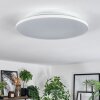 Norea Plafoniera, Faretto da soffitto LED Bianco, 1-Luce