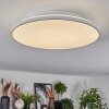 Norea Plafoniera, Faretto da soffitto LED Bianco, 1-Luce