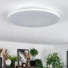 Norea Plafoniera, Faretto da soffitto LED Bianco, 1-Luce