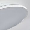 Norea Plafoniera, Faretto da soffitto LED Bianco, 1-Luce