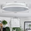 Norea Plafoniera, Faretto da soffitto LED Bianco, 1-Luce