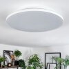 Norea Plafoniera, Faretto da soffitto LED Bianco, 1-Luce