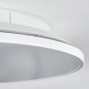 Norea Plafoniera, Faretto da soffitto LED Bianco, 1-Luce