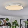 Norea Plafoniera, Faretto da soffitto LED Bianco, 1-Luce