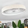 Benasal Plafoniera, Lampada con ventilatore LED Bianco, 1-Luce, Telecomando