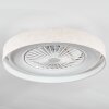 Benasal Plafoniera, Lampada con ventilatore LED Bianco, 1-Luce, Telecomando