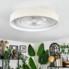 Benasal Plafoniera, Lampada con ventilatore LED Bianco, 1-Luce, Telecomando