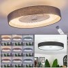 Benasal Plafoniera, Lampada con ventilatore LED Bianco, 1-Luce, Telecomando