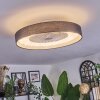 Benasal Plafoniera, Lampada con ventilatore LED Bianco, 1-Luce, Telecomando