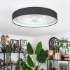 Benasal Plafoniera, Lampada con ventilatore LED Bianco, 1-Luce, Telecomando