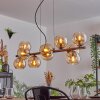 Gastor Lampadario a sospensione, Lampada a sfera, Lampada a sospensione Ambrato, 10-Luci
