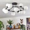 Chehalis Plafoniera, Lampada a sfera 76 cm Bianco, 12-Luci