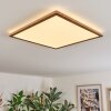 Antra Plafoniera, Panel LED Aspetto del legno, Bianco, 1-Luce