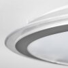 Arima Plafoniera LED Grigio, Bianco, 1-Luce