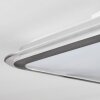 Arima Plafoniera LED Grigio, Bianco, 1-Luce