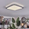 Arima Plafoniera LED Grigio, Bianco, 1-Luce