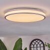 Arima Plafoniera LED Grigio, Bianco, 1-Luce